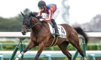 【デイリー杯2歳S想定馬・騎手】キュクロープス、ロンドボスなど6頭