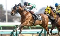 【福島記念想定馬・騎手】ドクタードリトル、フライライクバードなど19頭