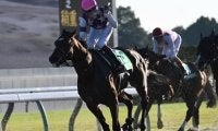 【みやこS結果】唯一の3歳馬サンライズジパングが差し切り重賞2勝目
