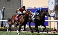 【BCターフ】アップルビー師「特別な馬」レベルスロマンスが2年ぶり2勝目