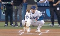 スゴすぎる… 大谷翔平の愛犬デコピンが快挙！ 錚々たる顔ぶれに並ぶ…　MLB公認分析家のアワード選出にネット歓喜「完璧な投球」「ド軍ブルペンに」