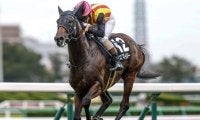【京都JS出走馬・騎手確定】スマイルスルー＆高田潤騎手、アサクサゲンキ＆小牧加矢太騎手など7頭
