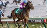【武蔵野S出走馬・騎手確定】エンペラーワケア＆川田将雅騎手、タマモロック＆R.ムーア騎手など15頭