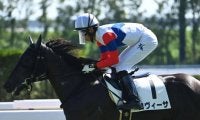【デイリー杯2歳S出走馬・騎手確定】ロヴィーサ＆幸英明騎手など7頭
