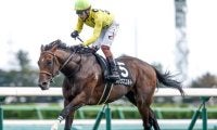 【福島記念出走馬・騎手確定】シリウスコルト＆高杉吏麒騎手、ドクタードリトル＆幸英明騎手など16頭
