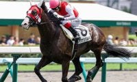 伯父にGI馬持つセレクト3億円ホース 黄菊賞で連勝狙う