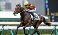【東スポ杯2歳S想定馬・騎手】ファイアンクランツ、レッドキングリーなど9頭