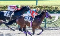 【武蔵野S予想】チャンピオンズCにはつながりにくい？ 「東京ダ1600m」への適性が勝負を分ける