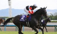 【競馬予想】エリザベス女王杯は本命を出し抜いて一発を狙うトップ騎手がズラリ！ なかでも注目は？