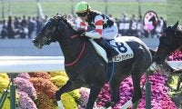 【京都5R新馬戦結果】エピファネイア産駒ミニトランザットが逃げ切りV
