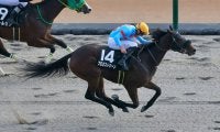 【オキザリス賞】マーカンド騎乗 プロミストジーンがデビュー2連勝