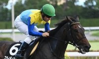 【福島記念予想】幅広い世代が活躍するも高齢馬は苦戦傾向 7歳以上の馬は前走のレース格や内容が重要