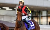 【AI予想・エリザベス女王杯】4歳馬中心も3歳馬に見逃せないデータあり！ 本命は近走の敗因が明確なGIホース