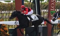 【京都4R新馬戦結果】ジョーカプチーノ産駒アスタールフナが差し返してV