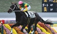 【京都5R新馬戦結果】キタサンブラック産駒エコロディノスが人気に応えてV