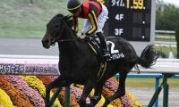 【黄菊賞結果】ミュージアムマイルが断然人気に応え2連勝