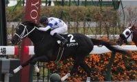 【JRA・WIN5】波乱続きで的中1票！ 配当は歴代5位の4億6496万3450円！