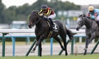【黄菊賞】C.デムーロ騎乗 ミュージアムマイルが2連勝