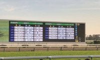 外国人ジョッキーが11連勝!? 6年前の11月11日に起こった“珍事”