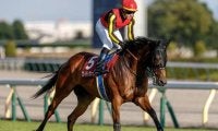 【マイルCS見どころ】牡馬相手でも決め手上位のブレイディヴェーグ
