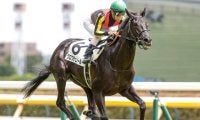 【東スポ杯2歳S見どころ】クロワデュノールの連勝に期待