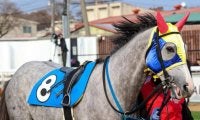 「父父メジロマックイーン×母母父オグリキャップ」 オグリマックイーンが3馬身差で初勝利