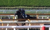 府中牝馬S覇者シャドウディーヴァの半弟 1.7億円馬インザスカイが初陣/関西馬メイクデビュー情報