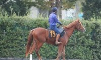 一族には国内外の活躍馬ずらり 1.5億円馬ダノンピクチャー/関東馬メイクデビュー情報