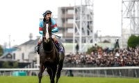 ジャパンC指定席は最高倍率「29.7倍」世界から強豪馬参戦でプラチナチケットに