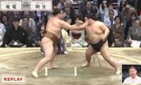 元大相撲力士、ハライチ澤部に“激似”と話題「そっくり」「もう、それにしか見えなくなったw」くりそつ過ぎて視聴者騒然