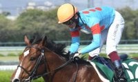 ダート重賞2勝のプロミストウォリアが抹消 今後は種牡馬入り
