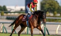 【マイルCS出走馬・騎手確定】ブレイディヴェーグ＆C.ルメール騎手、ソウルラッシュ＆団野大成騎手など17頭