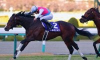 ドルチェモアの競走馬登録抹消…大井へ移籍