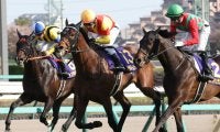 皐月賞馬ジャスティンミラノが引退