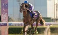 アイコンテーラーの競走馬登録抹消…交流G1で優勝