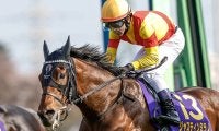 皐月賞馬ジャスティンミラノが抹消 今後は種牡馬に