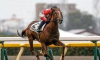 【東スポ杯2歳S予想】過去の勝ち馬にはコントレイルやイクイノックス 出世レースとして名高い一戦