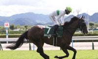 【競馬予想】ＧＩマイルCSは今年も荒れるのか!?　穴党記者は先行する伏兵２頭の一発に期待