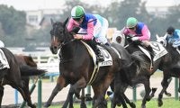 【京都5R新馬戦結果】10番人気のメイショウタマユラが差し切りV