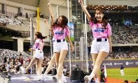 きつねダンスに続き…侍J戦で流れた一曲に日本人注目「なぜ」　美女チアと“コラボ”