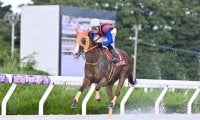 【金沢競馬】ハクサンアマゾネスが引退…中日杯でラストラン