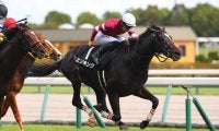 【京都2歳S登録馬】エリキングなど10頭