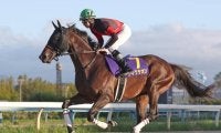 【浦和・浦和記念枠順】重賞連勝狙うディクテオンは7枠8番
