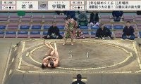 61キロ力士、何をした？ “レア技”で巨体をひっくり返す 一瞬の出来事に館内騒然 倒れた力士に手を…優しさも