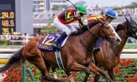 偉大な三冠牝馬たちに肩を並べるか 史上3頭目の3歳牝馬Vにチェルヴィニアが挑む