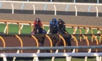 菊花賞馬アスクビクターモアの半妹 アークシャルダームが土曜京都で初陣/関西馬メイクデビュー情報