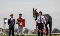 東スポ杯2歳S覇者の母父として注目 多くの活躍馬出す名種牡馬「ケープクロス」を深掘り