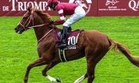 シンエンペラーにかかる意外な記録 フランス産馬が勝ったらジャパンC史上初