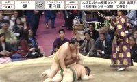 巨漢力士のビンタで“一撃”KO 「右フックだ」「重いの入った」倒れた力士はフラフラ