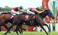 【競馬予想】ジャパンカップはキレ味勝負 超ド級の穴馬が高額配当を演出か